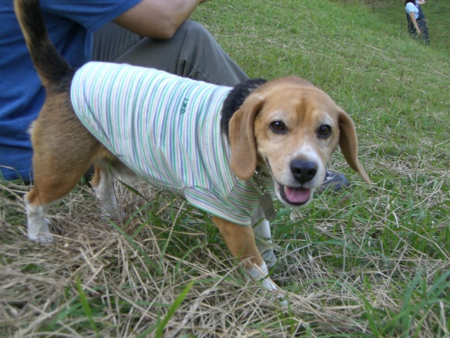 e0007060_22564810.jpg