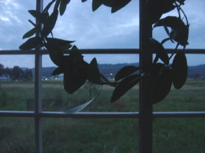 d0024864_18215631.jpg