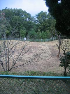 e0031568_01686.jpg
