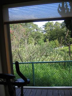 e0031568_0222182.jpg