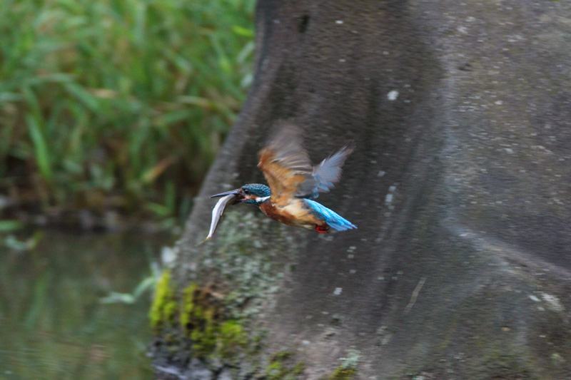 c0008378_21341152.jpg
