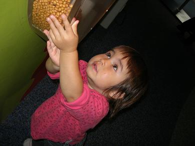 e0012482_14391114.jpg