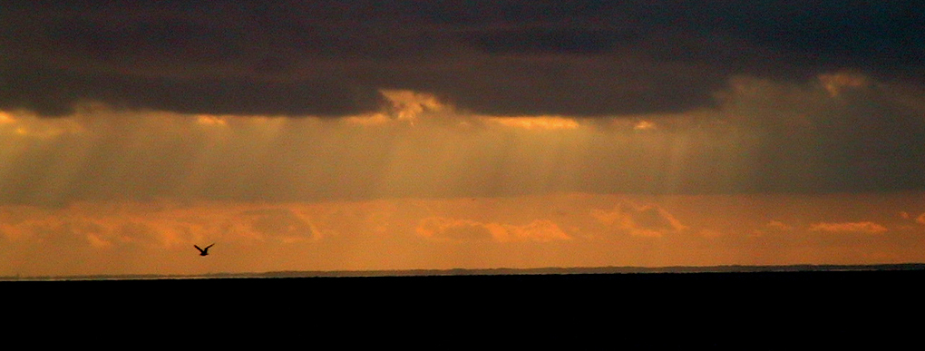 c0016987_2031740.jpg