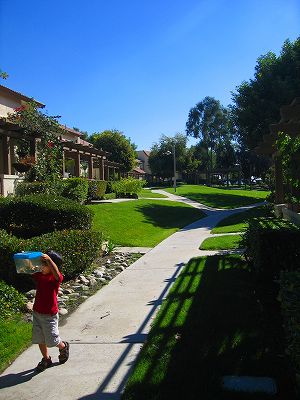 c0040990_1449456.jpg