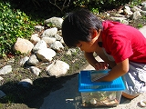 c0040990_1450110.jpg