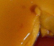 e0025190_1663388.jpg