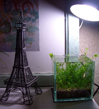c0074591_23368.jpg