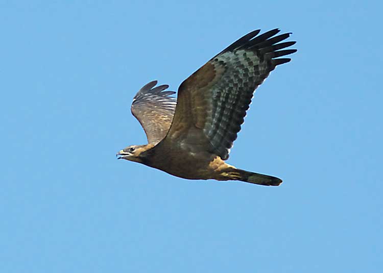 c0035296_1734586.jpg
