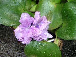 a0018200_11424985.jpg