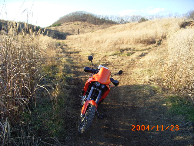 b0050305_19543271.jpg