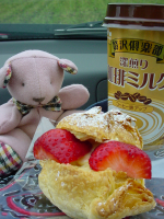 b0038008_7324887.jpg