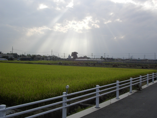 d0061608_22224519.jpg