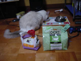 c0024410_2152954.jpg