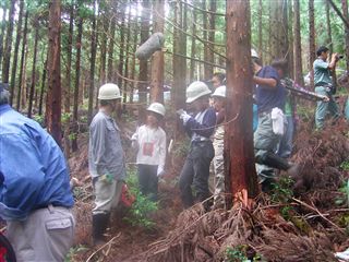 e0002820_20381284.jpg