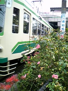 e0016828_2051526.jpg