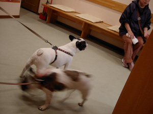 e0008833_1302183.jpg
