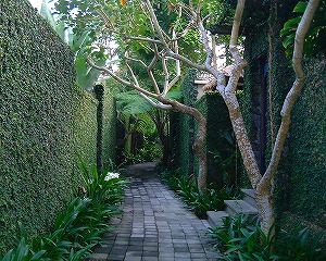 e0068534_12222040.jpg
