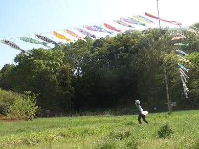 e0082234_150175.jpg