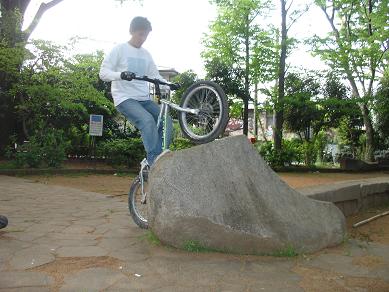 e0082234_1533777.jpg