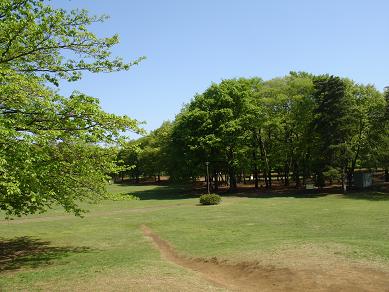 e0082234_153818.jpg