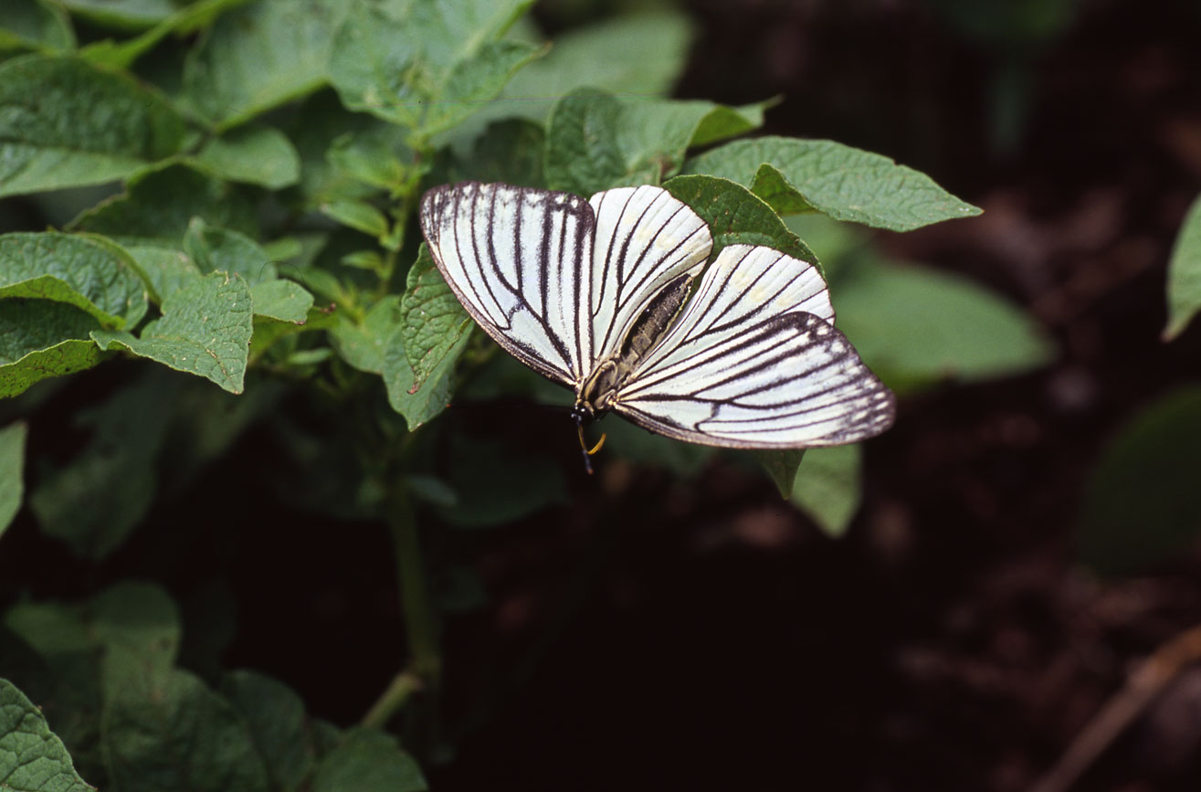 e0088036_21422031.jpg