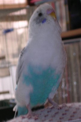 c0054148_2271650.jpg