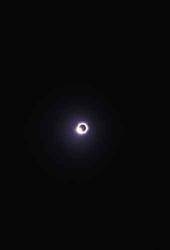 b0006449_3392781.jpg
