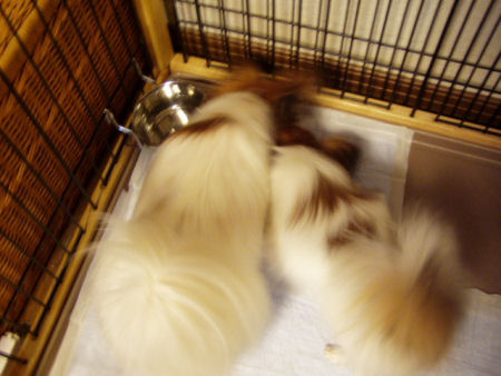 c0074156_2130891.jpg