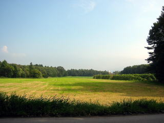 e0088260_2348327.jpg