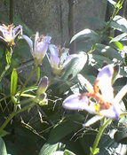 c0028664_22421470.jpg