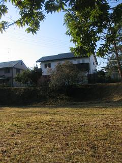 e0031568_1647395.jpg