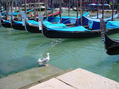 e0030085_20411286.jpg