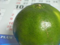 c0060603_055839.jpg