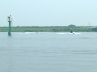 d0006323_1351184.jpg