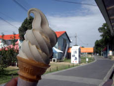 b0003224_11825.jpg