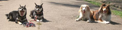 e0068836_1740287.jpg