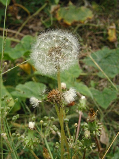 e0083238_2314190.jpg