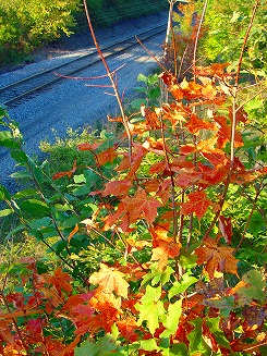 c0027939_10491296.jpg