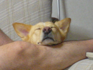 c0065643_1134322.jpg