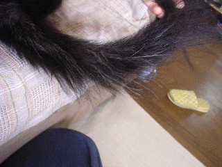 c0065643_14175769.jpg