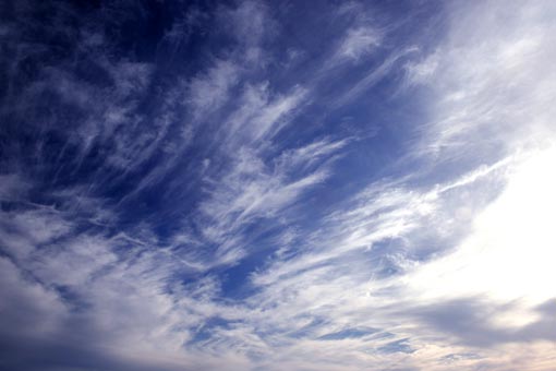 d0029746_23511131.jpg