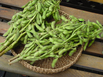a0003150_23282314.jpg