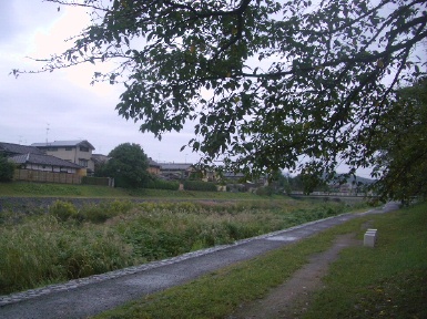 d0020159_22391665.jpg