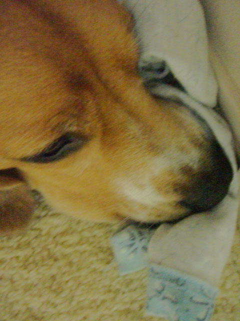 e0007060_2327124.jpg