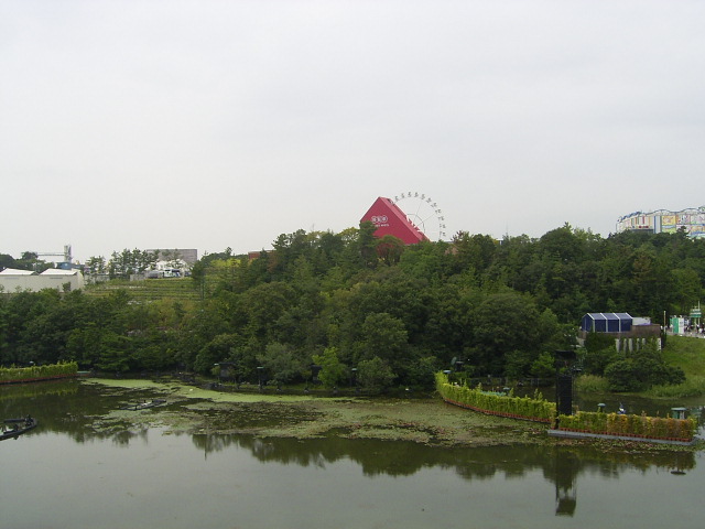 d0041665_2552919.jpg