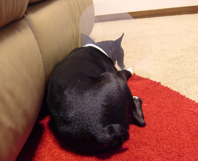 c0032567_22405058.jpg