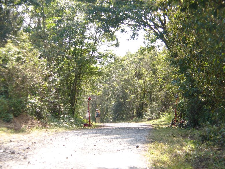 e0005887_23152125.jpg