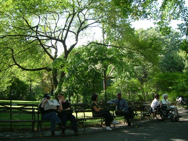 e0010293_10761.jpg