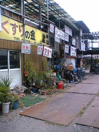 b0006896_0143080.jpg