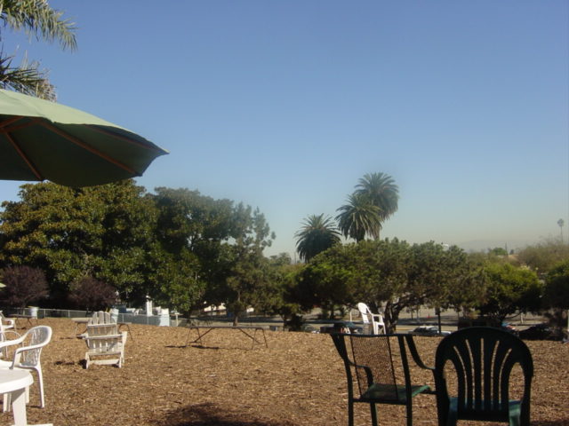 c0048504_215798.jpg